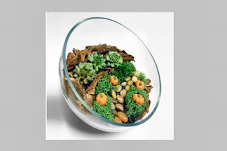 Plant Nite: Autumn Themed Sloped Glass Bowl Succulent